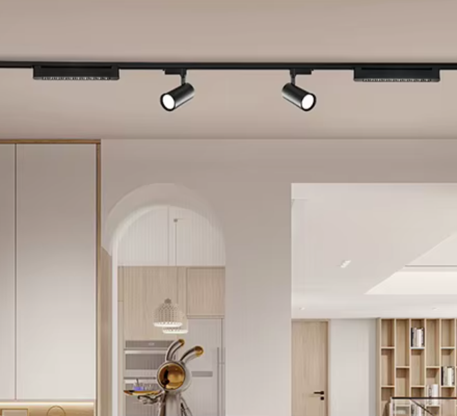 foco riel lineal ejemplo2 foco riel lineal